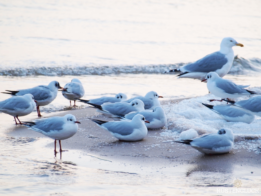 Winterwochenende Usedom