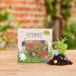 Ostergras Konfetti Wiildblumen Samen Geschenk Ostern Kuestenglueck